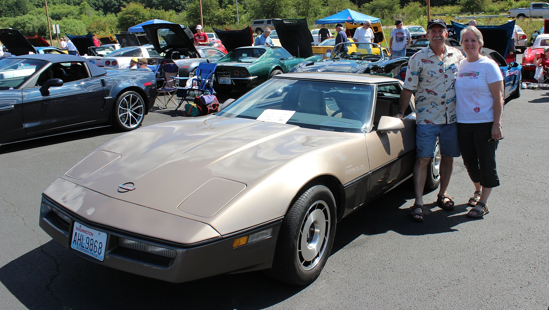 Click to Enlarge-Esc to Close Corvette Generations/C4/C4 1984 Bronze Black Ofsthun.webp